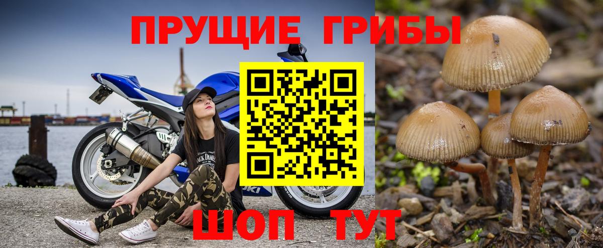 Галлюциногенные грибы ЛСД  Вход с VPN  Лысьва 