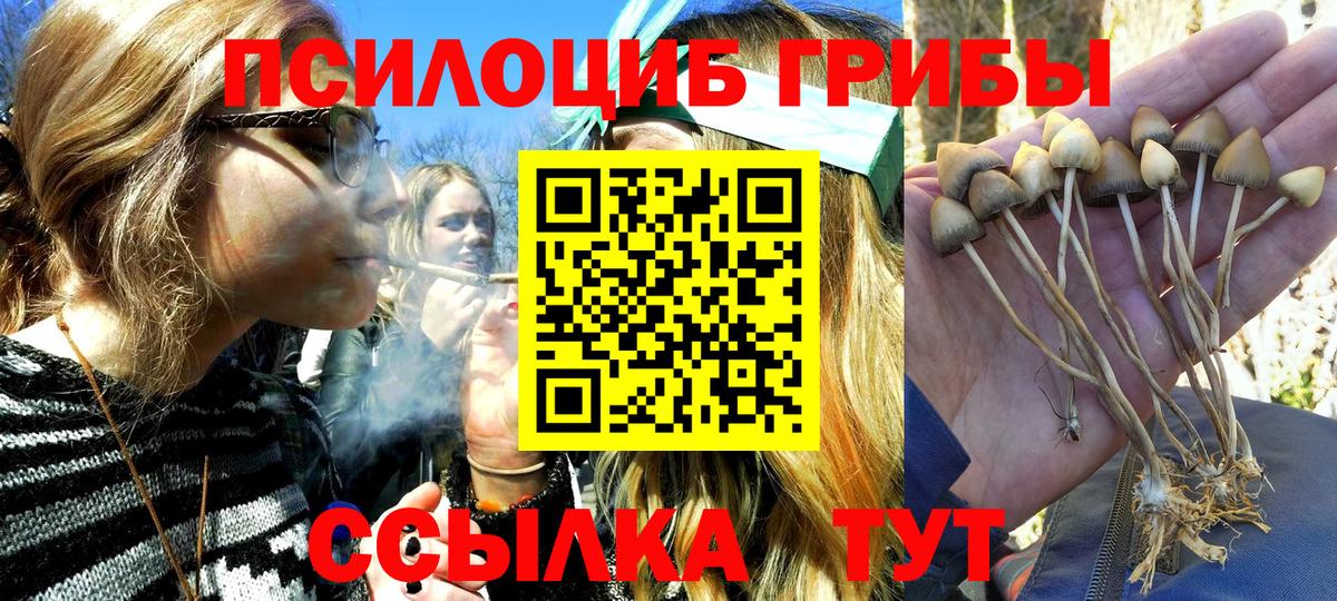 Галлюциногенные грибы MAGIC MUSHROOMS Лысьва
